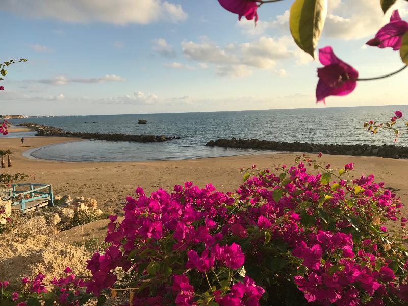 סקוליטי Sikelika Residence Sul Mare מראה חיצוני תמונה