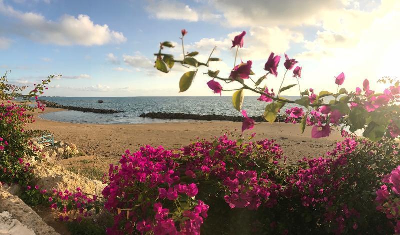 סקוליטי Sikelika Residence Sul Mare מראה חיצוני תמונה